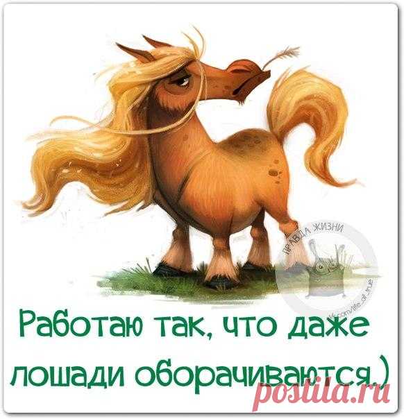 ВСЯ ПРАВДА ЖИЗНИ В КАРТИНКАХ;))
