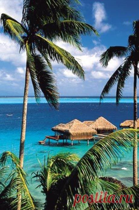 Найдено на сайте tahiti-tourisme.com.