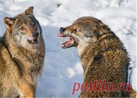 23 реальных фото, к которым не прикасались фотошоперы