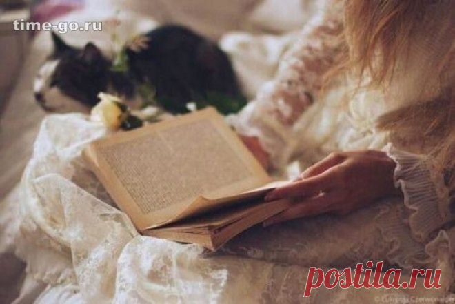 7 книг, которые читаются за вечер, а в памяти остаются навсегда