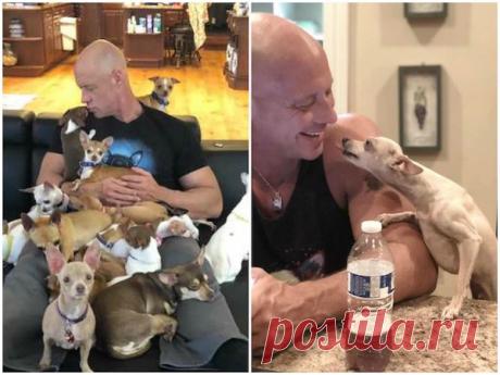 Атлет всю жизнь ненавидел мелких собак, пока не встретил одну чихуахуа Трогательная история о том, как одна маленькая собачка вытащила из депрессии, и круто изменила жизнь одного большого парня.




ИСТОЧНИК: PETPOP.CC




Всю свою жизнь атлет Бобби Хамфриз из американского города Бунсборо любил больших собак, и никогда не признавал мелкие породы вроде чихуах