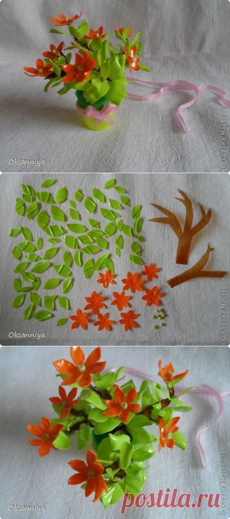 Цветы из пластиковых бутылок. МК от Oksanniya.