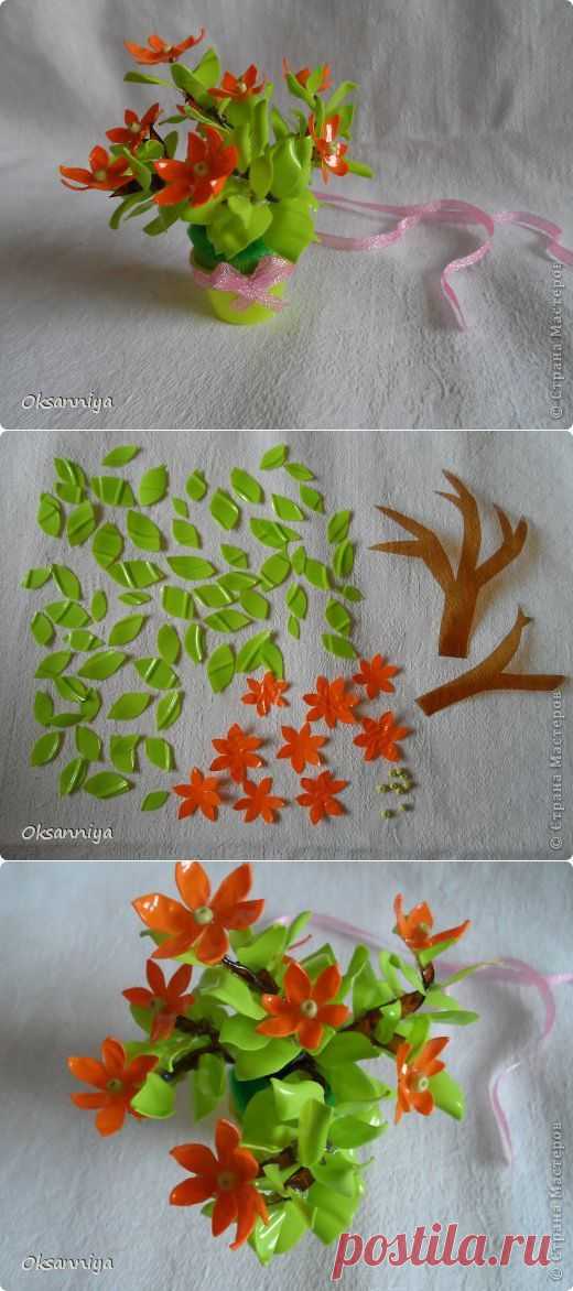 Цветы из пластиковых бутылок. МК от Oksanniya.