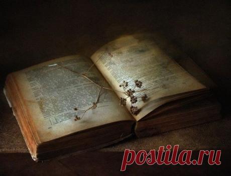 Этот текст был найден в старой церкви. Прочтите эти строки, в них скрыт большой смысл! Прочтите эти строки, в них скрыт большой смысл!
Идите своим путем спокойно среди гама и суеты и помните о мире, который может быть в тишине. Не изменяя себе, живите, как только возможно, в хороших отн…