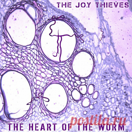 The Joy Thieves - The Heart of the Worm (Single) (2024) 320kbps / FLAC