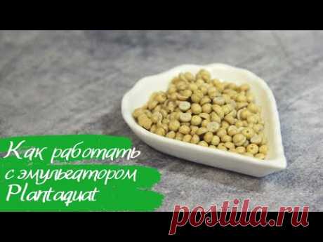 Как работать с кондиционирующим эмульгатором Plantaquat