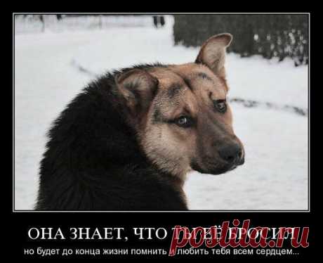 Посмотри в её глаза!