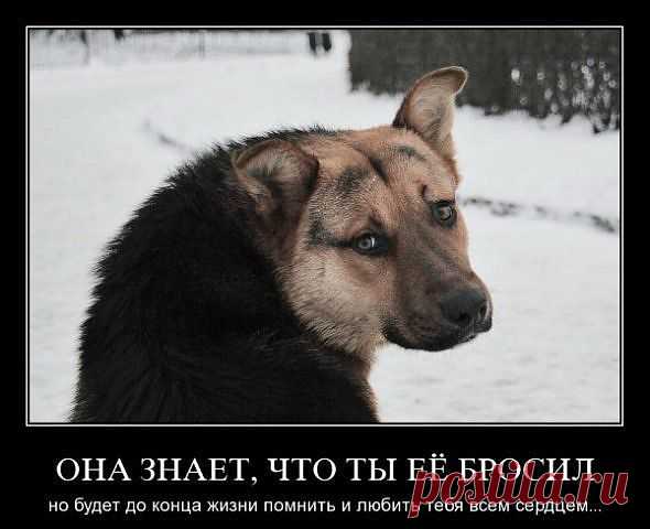 Посмотри в её глаза!