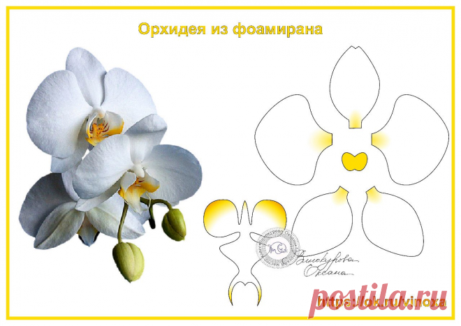 Цветы из фоамирана