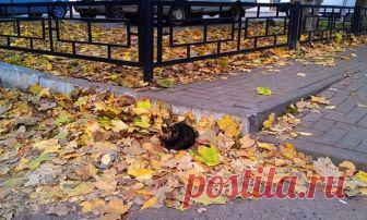 просто жизнь...