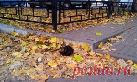 просто жизнь...