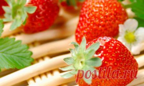Полезные свойства хвостиков клубники | Женское здоровье