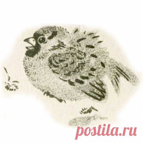 КРАСНАЯ ГОРКА