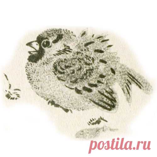 КРАСНАЯ ГОРКА