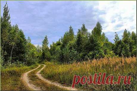 «Дорога»