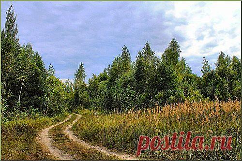 ★АвгустинаR — «Дорога» на Яндекс.Фотках