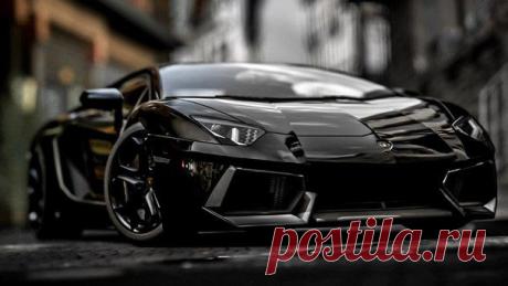 Lamborghini Aventador / Только машины