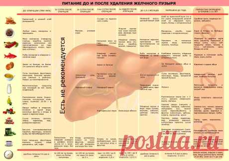 Питание до и после удаления желчного пузыря