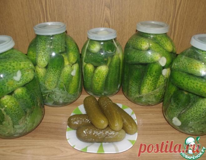 Квашеные огурцы холодным способом на зиму – кулинарный рецепт