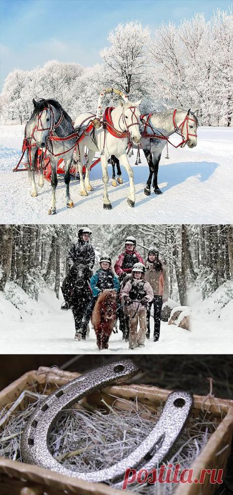 Как встречать 2014 год Лошади? Какие подарки дарить в Новый год? | Informatio.ru