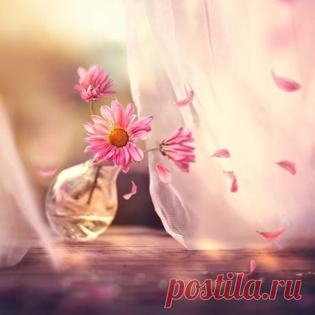 12 Июля 2019 г. – Пятница • День святых первоверховных апостолов Петра и Павла • День фотографа (День святой Вероники, покровительницы фотографии) • День следования по течению • Всемирный день бортпроводника (International Flight Attendant Day)89 лет • День флага МВД России7 лет • День Снопа Велеса • День разноцветных глаз (Different Colored Eyes Day) • День аборигенов - Австралия • День хиджаба и целомудрия - Иран • День пирога с пеканом (National Pecan Pie Day) - США • День независимости -…