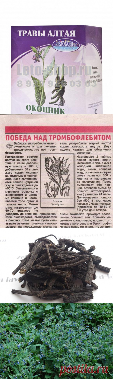 ОКОПНИК КОРЕНЬ ФОТО — лекарственные свойства и применение | Кругом враги