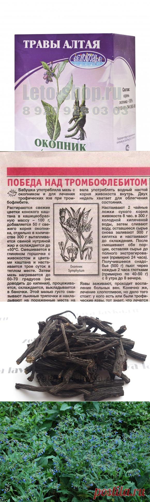 ОКОПНИК КОРЕНЬ ФОТО — лекарственные свойства и применение | Кругом враги