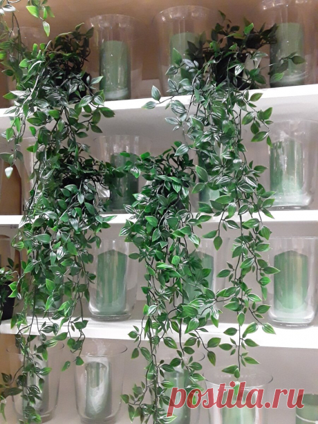 Для тех, кто любит "мимишность" в дизайне квартиры :) Цветы IKEA... искусственные и живые! | Дизайнер интерьера & Любитель | Яндекс Дзен