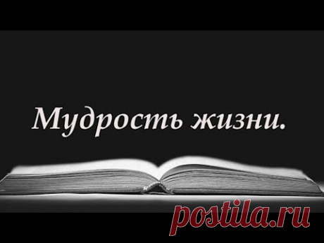 Слова со смыслом. 💯 Мудрость Жизни.  Правда жизни. Счастье.  Читает Антонина