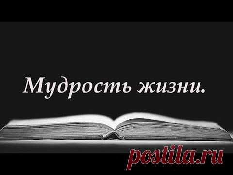 Слова со смыслом. 💯 Мудрость Жизни.  Правда жизни. Счастье.  Читает Антонина