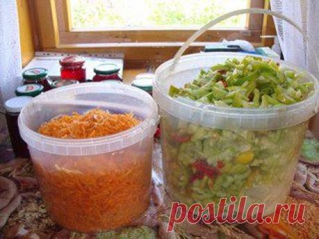 Home garden|Сад, огород, дача | ВКонтакте