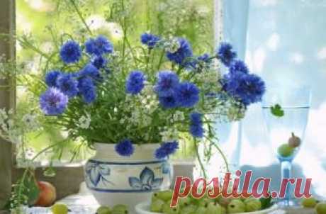 Мой Мир@Mail.Ru