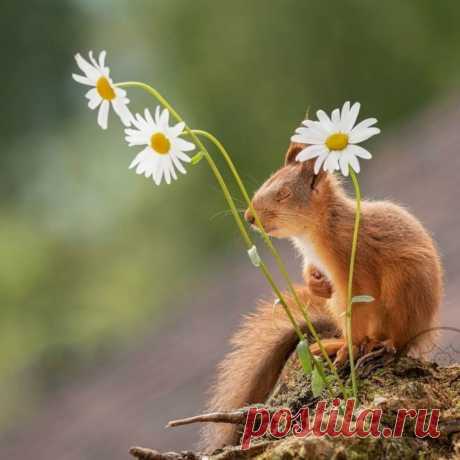 Мой Мир@Mail.Ru