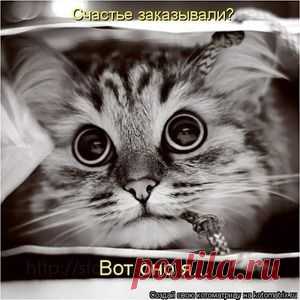 Мой Мир@Mail.Ru