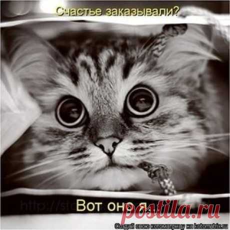 Мой Мир@Mail.Ru