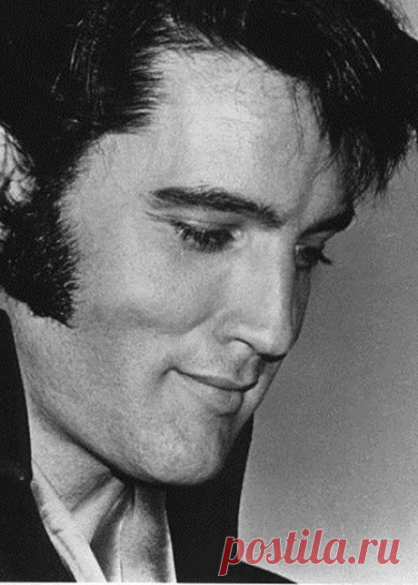 Elvis