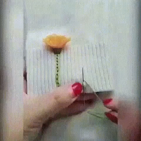ВЫшивка