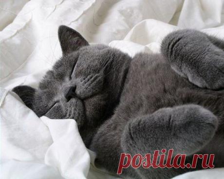 В жизни главное не лениться, захотела поспать - поспи...