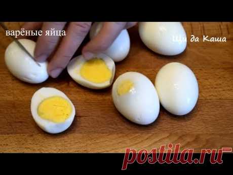 Варю ЯЙЦА и готовлю из них ЗАКУСКУ, которую сметут первой с праздничного стола! Вкусный рецепт