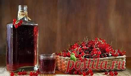 Как сделать домашнее вино из ягод – самый простой рецепт