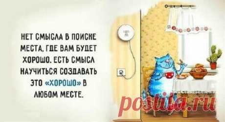 20 забавных советов — и в жизни пригодятся, и настроение поднимут