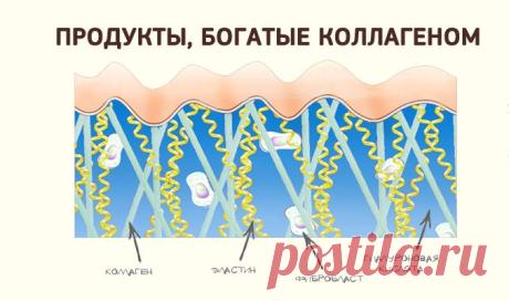 5 продуктов, которые содержат коллаген, необходимый коже - Советы и Рецепты Молодость нашей кожи напрямую зависит от коллагена – белка, который обеспечивает эластичность. Коллаген отвечает за удерживание необходимой влаги в коже: он притягивает и удерживает молекулы воды.С возрастом в организме женщины количество коллагена уменьшается. После 40 лет выработка коллагена сокращается на 3%. Поэтому очень важно питаться так, чтобы сохранить молодость кожи, то есть потреблять продукты или …