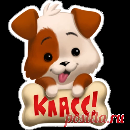 с чесноком | OK.RU