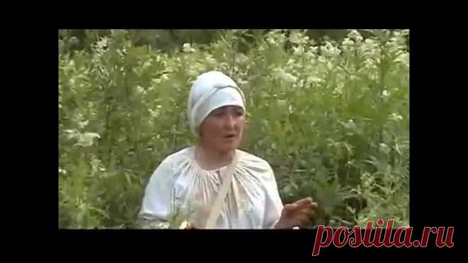 Таволга вязолистная (Filipendula ulmaria), или лабазник вязолистный.

В народе таволгу называют медовницей, медункой болотной. Растет она в переувлажненных местах, очень любит болота, не брезгует и побережьями озер, прудов и других водоемов. Это многолетнее травянистое растение с довольно крупными листьями, снизу опушенными волосками, отчего они беловатые, а сверху темно-зеленые. Цветки мелкие, кремового цвета, собраны в рыхлую метелку, очень пахучие, поэтому в зарослях та...