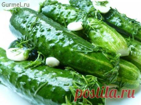Огурцы малосольные на минеральной воде. Рецепт с фото. Пошаговые фотографии. Gurmel