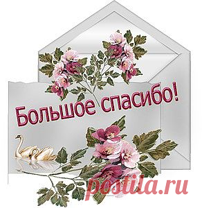 Секреты пересадки фиалок.