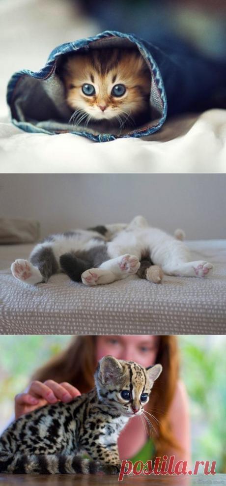 38 Images That Are Scientifically Proven To Boost Productivity | Shining world