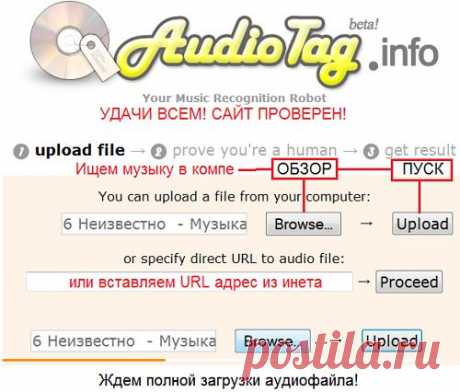 Распознаватель автора,исполнителя музыки(и нашу тоже)