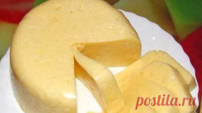 Домашний сыр за 3 часа! Невероятно вкусный сыр, который содержит только натуральные продукты и ничего лишнего. | Эксклюзивные шедевры кулинарии.