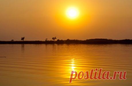 (49) Одноклассники